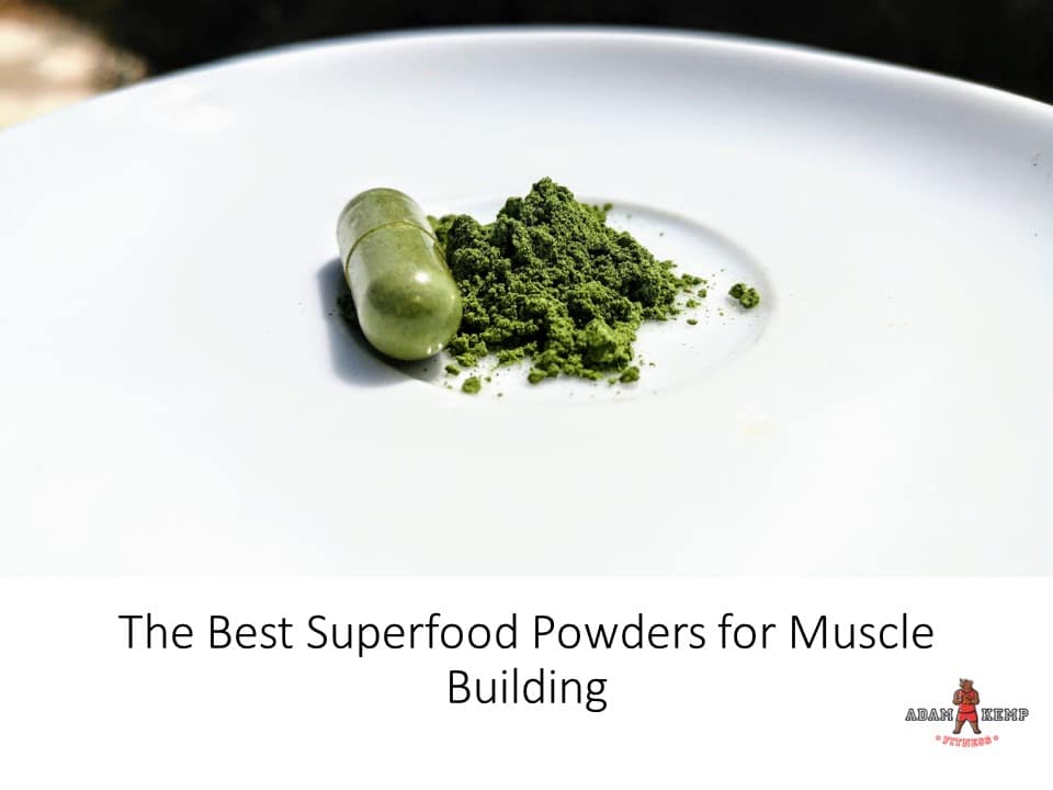 Best Superfood Powders for Muscle Building (Updated 2024)