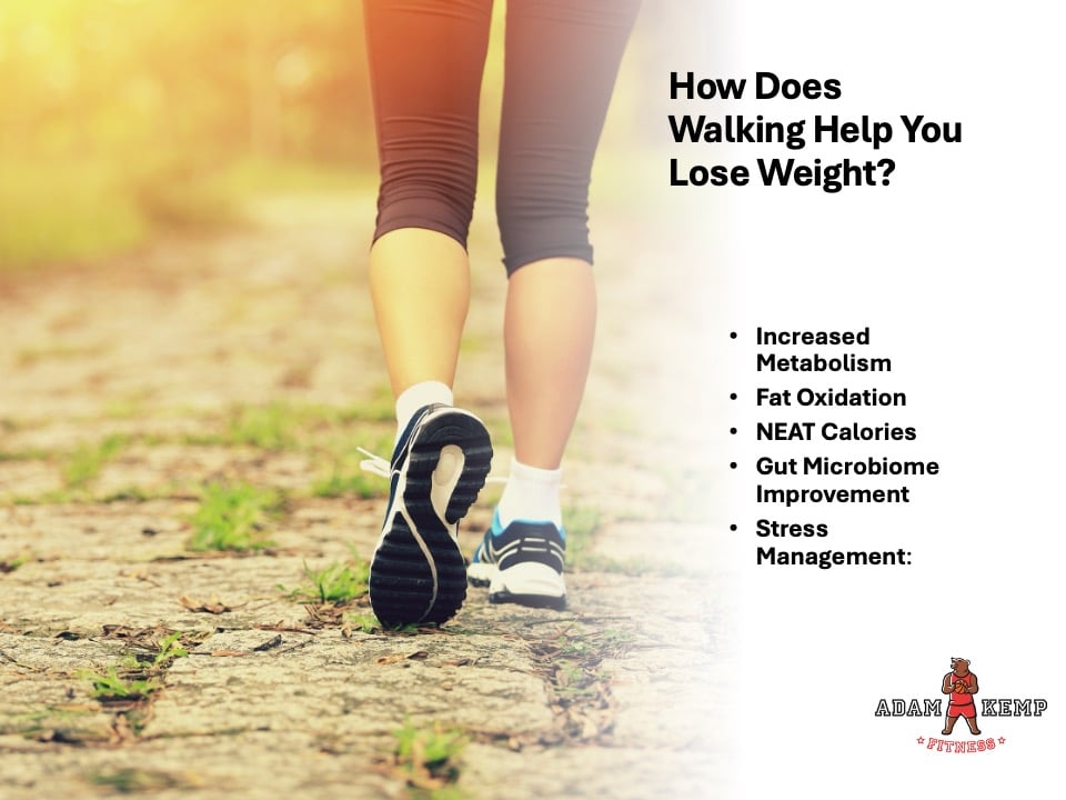 How Does Walking Help You Lose Weight