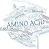 a picture of names of the best amino acid sources