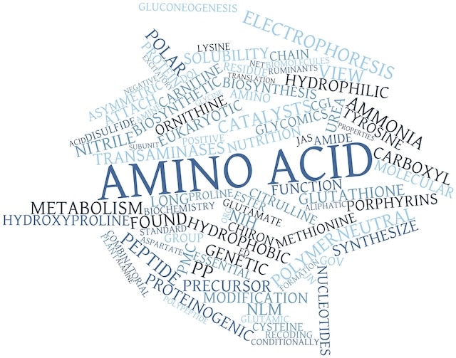 a picture of names of the best amino acid sources