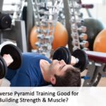 Reverse Pyramid Training