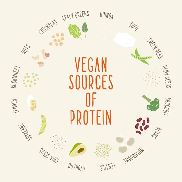 Best Vegan Protein Sources: A Complete Guide to Plant-Based Nutrition