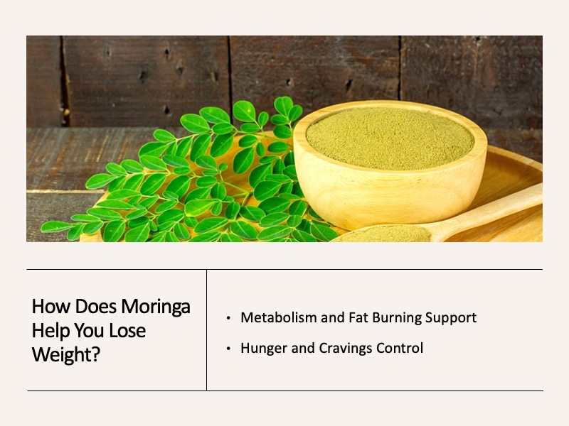 Can Moringa Help You Lose Weight