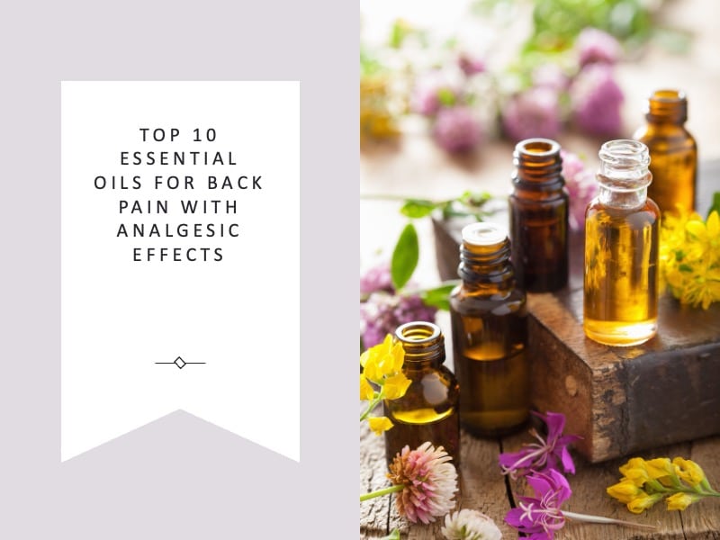 Top 10 Essential Oils for Back Pain with Analgesic Effects