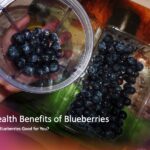 Health Benefits of Blueberries