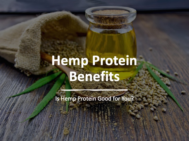 Hemp Protein Benefits: Is Hemp Protein Good for You?