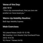 11-20-2024 Workout of the Day