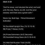 11-13-2024 Workout of the Day